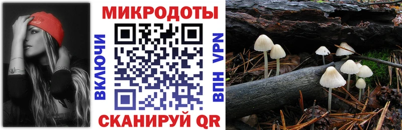 Купить  Алапаевск  Галлюциногенные грибы MAGIC MUSHROOMS 